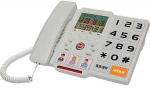 P-M300